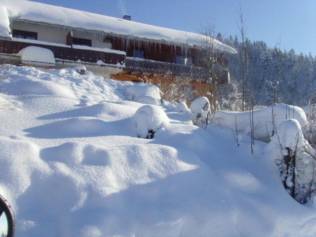 Allgaeuer Stube Apartment